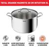TEFAL Intuition XL Stockpot 28 Cm Stainless Steel + Glass Lid, Capacity 8 L, Induction, 18/10 Stainless Steel, Sturdy Handles B8646404