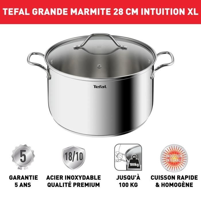 TEFAL Intuition XL Stockpot 28 Cm Stainless Steel + Glass Lid, Capacity 8 L, Induction, 18/10 Stainless Steel, Sturdy Handles B8646404