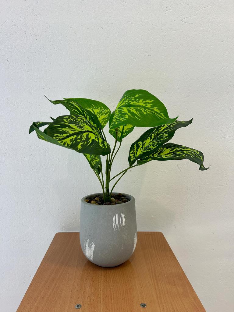 Artificial Plant Flower In A Pot For Home Office Realistic Dieffenbachia