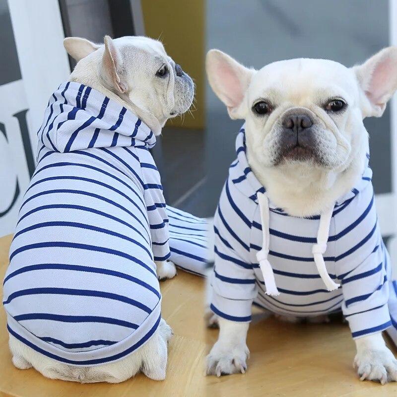 Winter Dog Clothes for Small Medium Dogs Striped  Hoodie Pet Puppy Cat Sweatshirt Schnauzer Coat Chihuahua French Bulldog Outfit