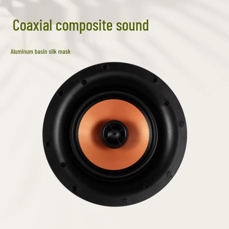 

6-inch Recessed Ceiling Speaker with Self-Suction Grille for Home Theater 233 mm
