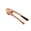 Garlic Press Zinc Alloy with Storage Box HandPress for Home Cooks, Everyday Cooking,