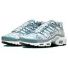Nike Air Max Plus Palm Pack - Waterway Pánske tenisky Strieborná Sklolaminátová Biela FV0394-300