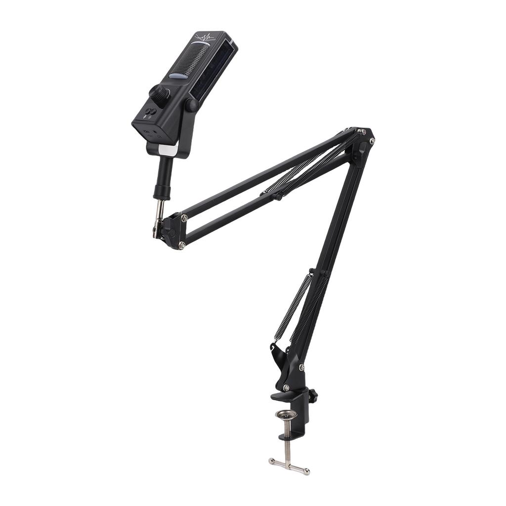 Podcast-Mikrofon-Kit USB-Kondensatormikrofon Mit Mikrofonarmständer RGB-Beleuchtung Geräuschunterdrückung Stummschaltung mit einer Taste Typ-C-Stecker