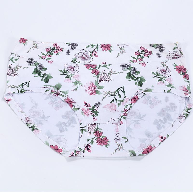 Women's Underwear Panties for Women Ladies Briefs for Everyday Wear