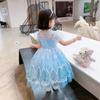 2021 Frozen Elsa's Princess Dress, Elsa's Girls' Short-sleeve Dress, Elsa's New Gown