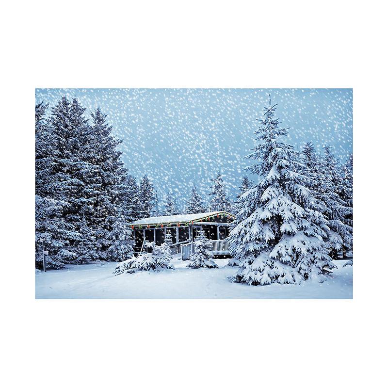 Winter Wonderland Themed Background,Christmas Photography Backdrop,for Parties and Holiday Photography Backdrops,Photo Studio
