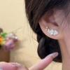 Korean White Flower Stud Earrings For Women Girls Exquisite Crystal Petal Leaf Temperament Earrings Zircon Accessories Gift