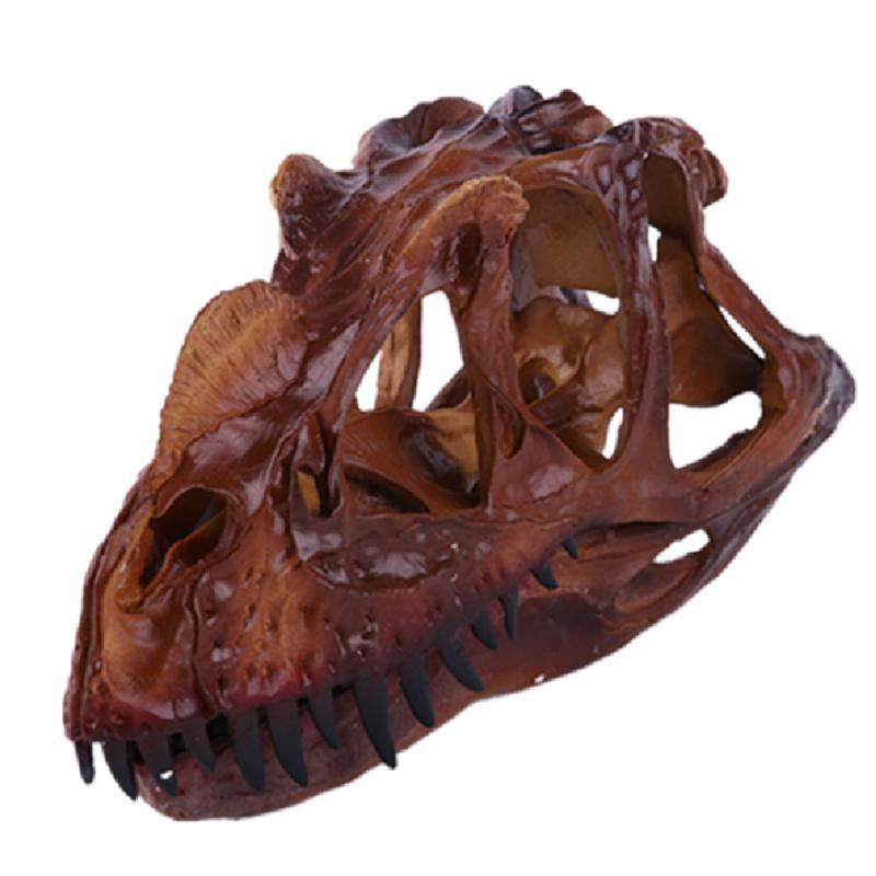 Ceratops Dinosaur Resin Skull Head Decoration Personalized Home Decor Teaching