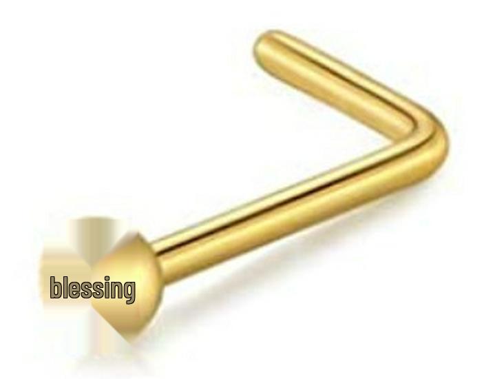 Stainless Steel Nose Ring - Stylish Nose Stud Piercing Jewelry