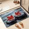 Bathroom Absorbent Diatom Mud Toilet  Doormat Toilet Toilet Floor Mat Toilet Carpet