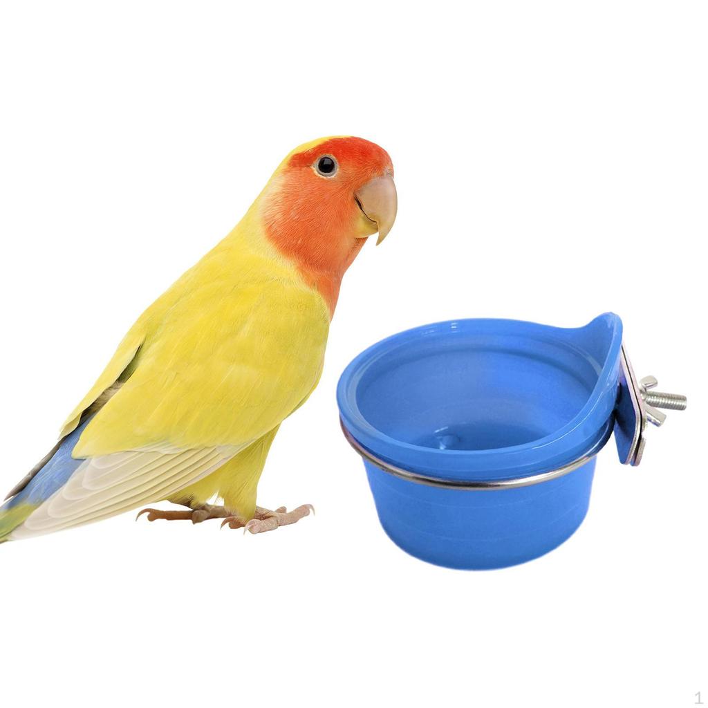 Bird Feeder Bowl Cage Bowls Parrot Feeding Dish Cups for Lovebird