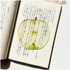 Reading Bookmark Simulation Fruit Bookmark Desktop Decor Bookmark Eye-Catching For Birthday Gift Stationery Collection
