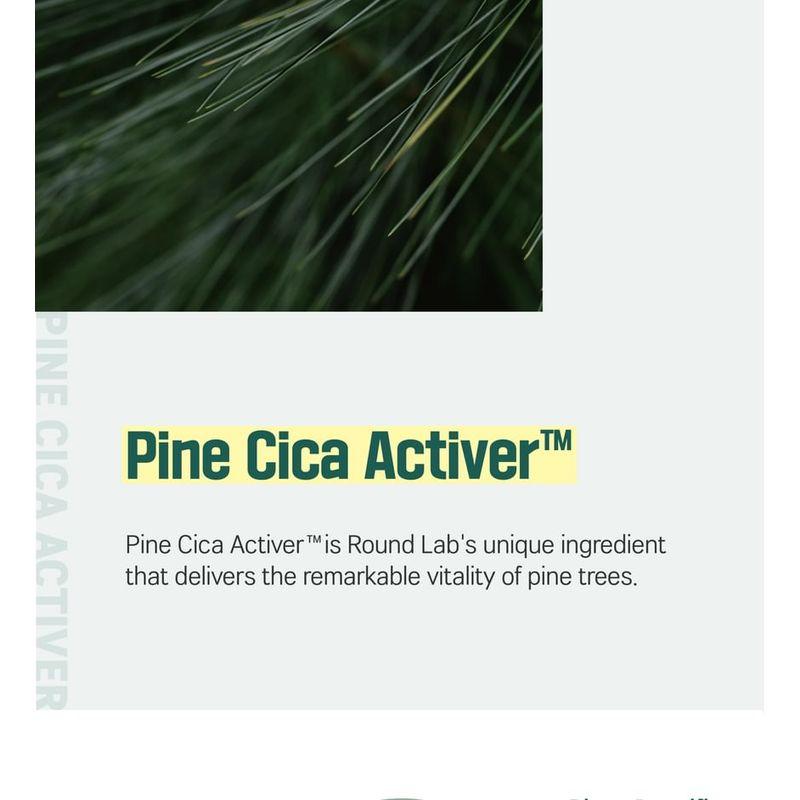 ROUND LAB For Men Pine Calming Cica Lotion