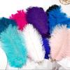 Imported Colored Ostrich Feather Bouquet for DIY Floral Arrangements