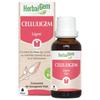Herbalgem Complexe De Gemmothérapie Celluligem Ligne Bio 30ml