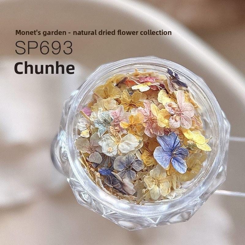Materiale fiore secco per nail art misto squisito materiale fiore a cinque petali decorazione unghie floreale piccola gioielleria per unghie floreale