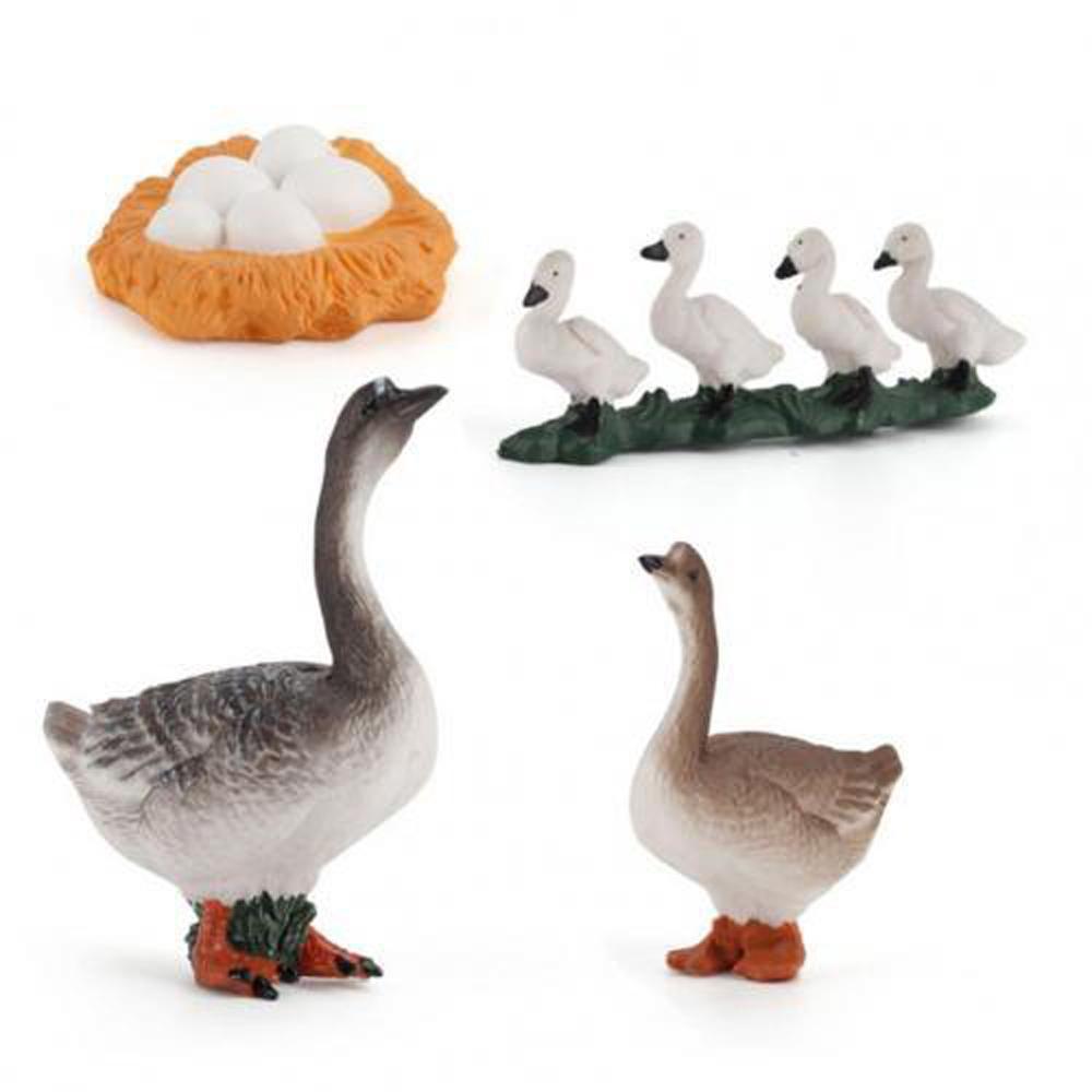 

Toys Miniature Cycle Duck Figurine Life Cycle Figures White Goose Growth Cycle Simulation Goose