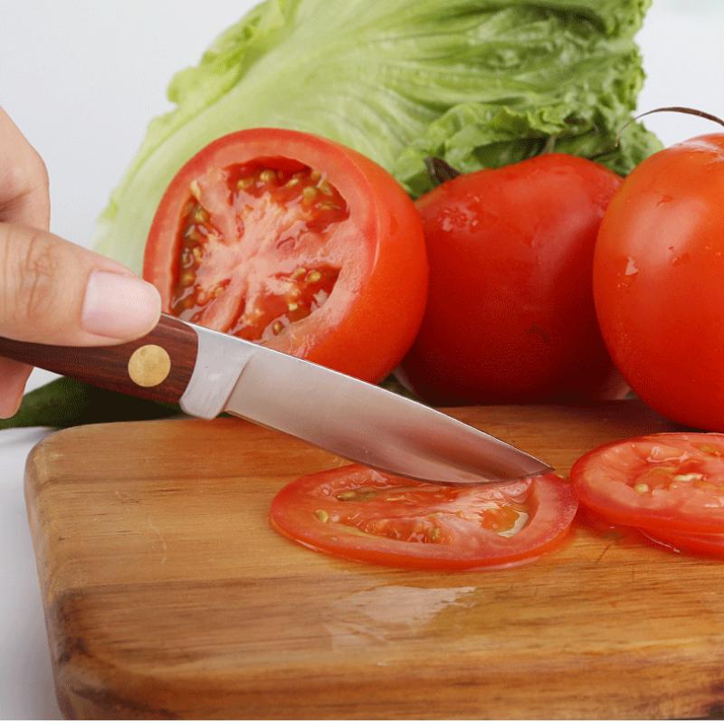 Stainless Steel Fruit Knife Portable Folding Knife with Wooden Handle Household Fruit Folding Peeler Kitchen Tool Mini