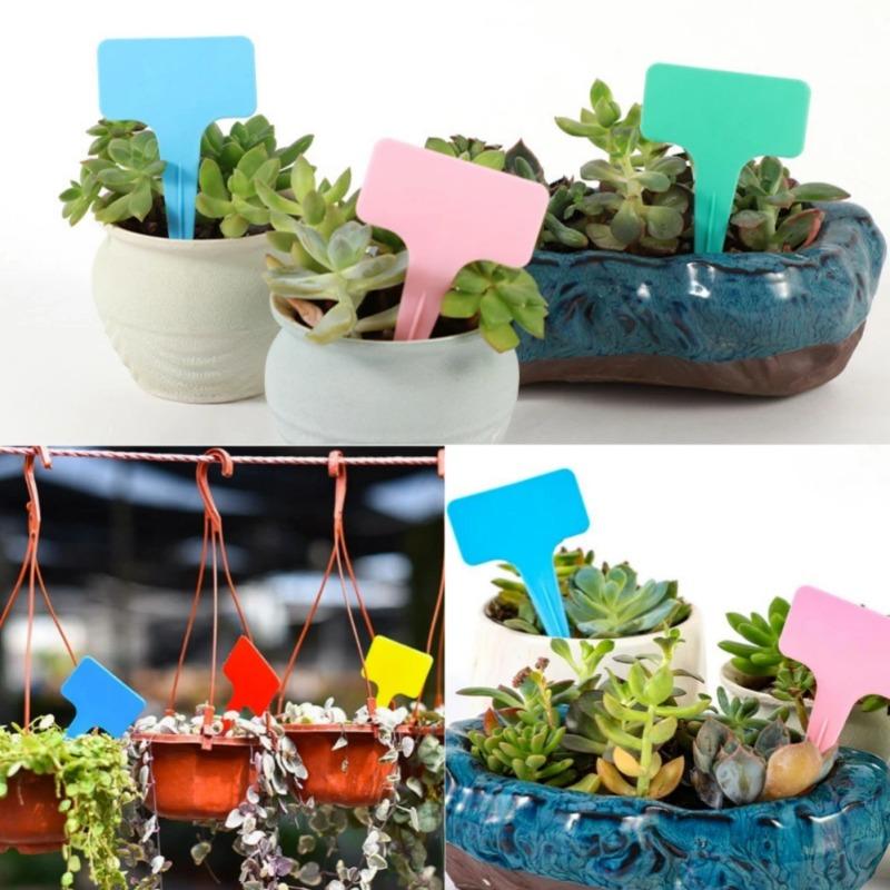100PCS T-Type Plastic Garden Plant Labels Waterproof Flower Tags Nursery Seedling Markers Bonsai Identification Tags Gardening Tools