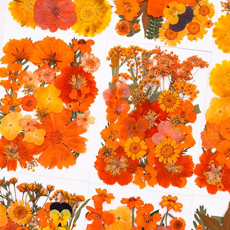 Halloween Theme Pressed Flower Kit for Resin Art Natural Real Pressed Orange Flower Leaves for DIY Epoxy Jewelry Bookmark