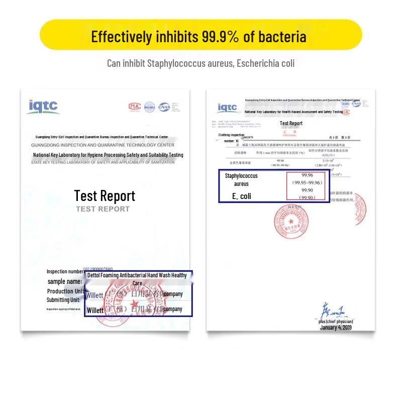 Walch Foam Hand Soap Refill