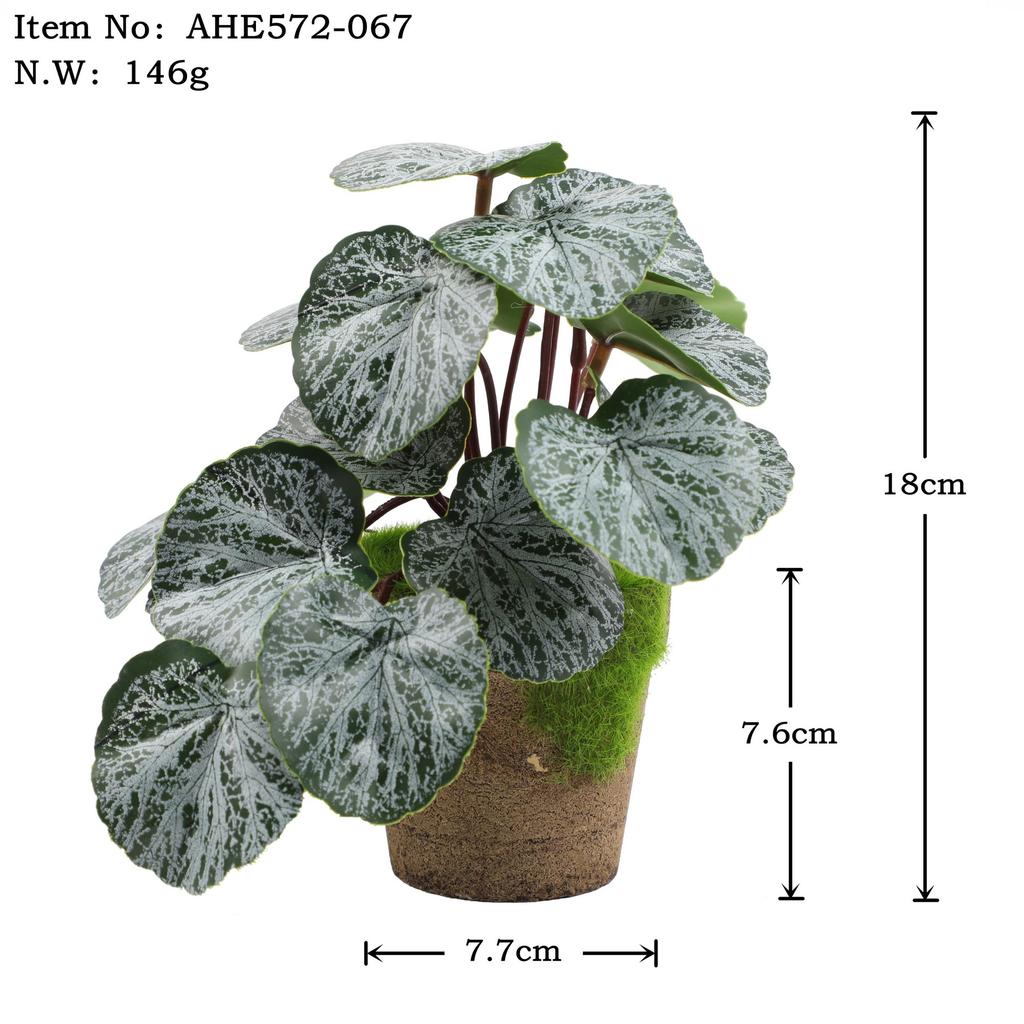Exquisite Plastic Bonsai Set For Home And Photography Props Eucalyptus Banana Leaf Turtle Back Daisy Hibiscus