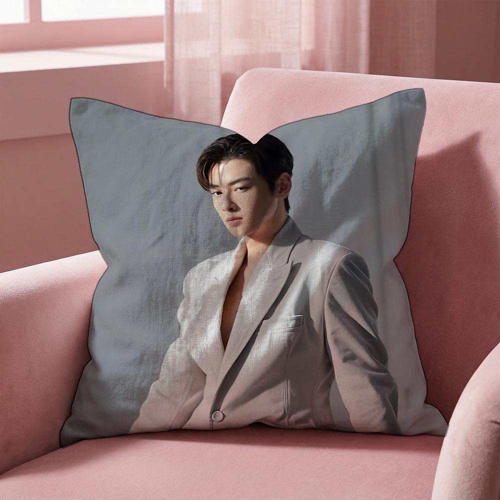 

C-Cha Eun Woo SINGER Cushion Cover Multi-Scene Pillow Cover for Home & Car - Reversible, Soft & Durable for Daily Use 30cmx30cm