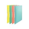 Esselte Colour'ice Display Book 40 A4 Compartments for 80 Sheets Available In Different Colours