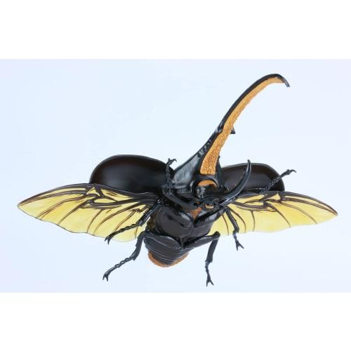 Free Research Series No.26 Living Creatures Edition Hercules Beetle Plastic Model