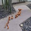 ARCHITECTMADE Duckling Small 320 Hans Bolling Wooden Duck Figure Natural Oak Scandinavian Design Home Decor Collectible Art Object
