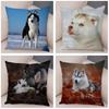 Haustier Tier Sofa Kissenbezug Niedlicher Sibirischer Husky Kissenbezug Dekorativer Hundeaufdruck