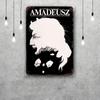 Amadeus Movie Funny Bar Metal Sign Retro Plaque Vintage Sign Alcohol Drinker Pub Club Man Cave Kitchen Wall Decoration