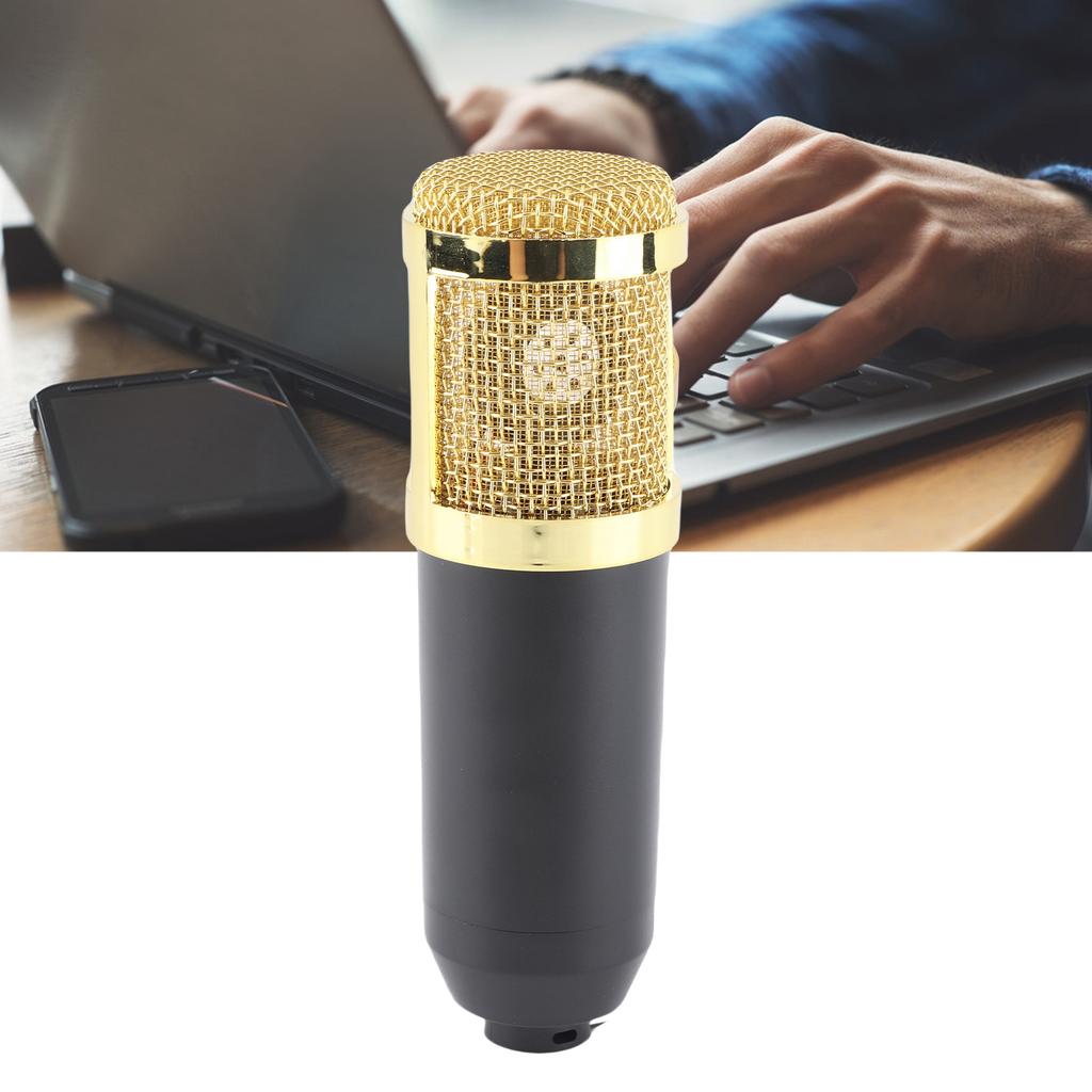 Wired Condenser Microphone XLR to 3.5mm Professional Broadcast Recording Mic with Shock Mount for PC Laptop