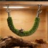 Jumping Spider Bridge Hermit Crab Climbing Enclosure Bridge Swings  Spider/Gecko Jumping stand Climbing ladder for Terrarium