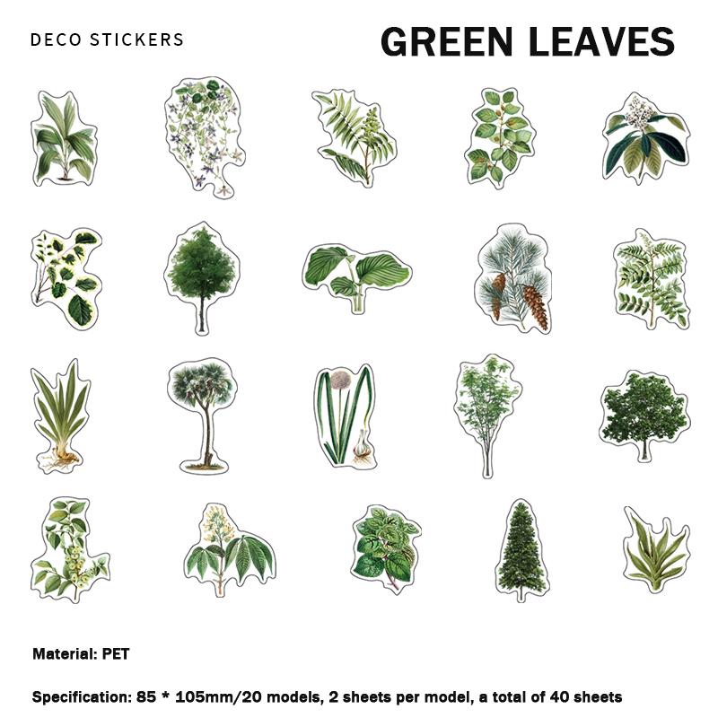 

ПЭТ-наклейки, серия «Атлас гор и морей», материалы для учета животных и растений в стиле ретро, ​​40 шт. Green leaves