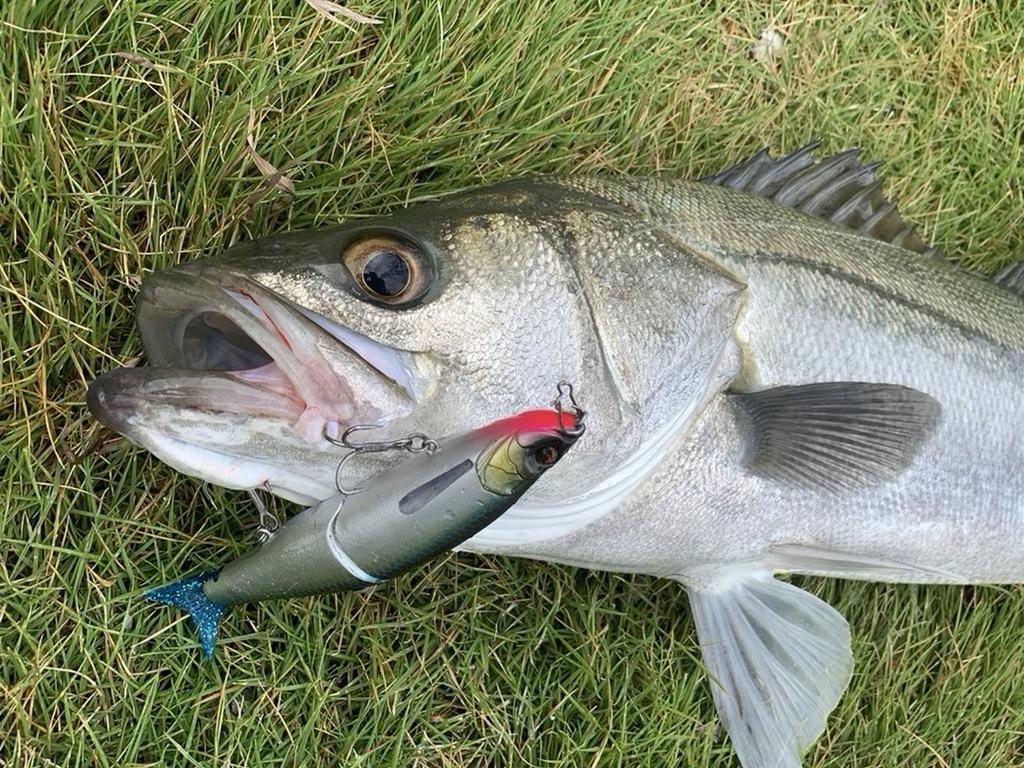 TREFLE CREATION MIRAGE JT 128S Clear Pearl Horse Mackerel 28g Jointed Lure