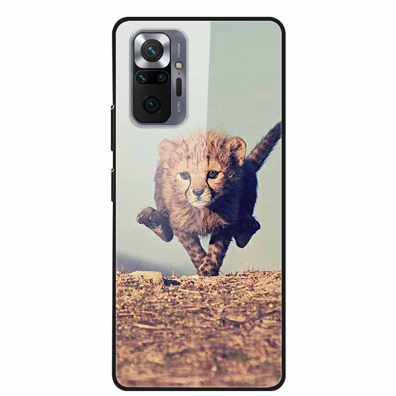 Tempered Glass Colorful Cover For Xiaomi Redmi Note 10 Pro Case Hard Shockproof Funda for Redmi Note10 / Note 10Pro Cases Shell