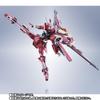 METAL ROBOT SPIRITS Infinite Justice Gundam 20th Anniversary <SIDE MS> Ver.