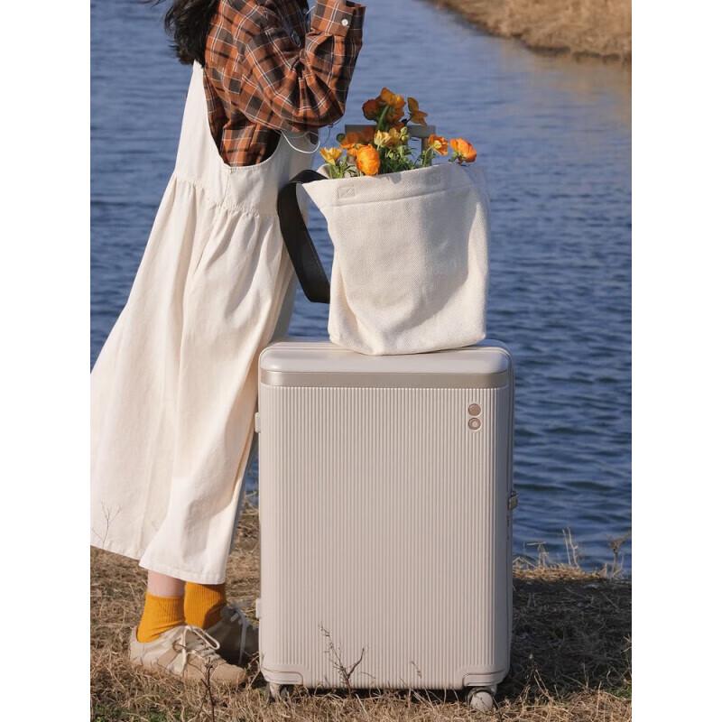 Aikele Dynasty PC142 Hardside Spinner Suitcase