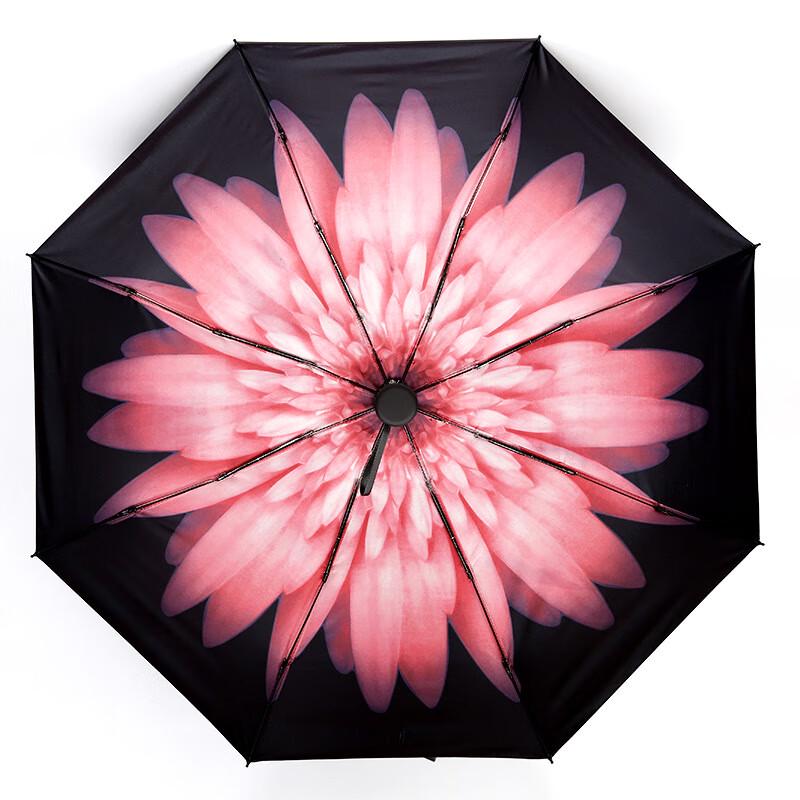 Chao Sihui Portable 5-Fold UV Protection Umbrella