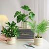 Elegant Simulation Green Plant Bonsai Evergreen Artificial Fern Leaves  Wedding Party