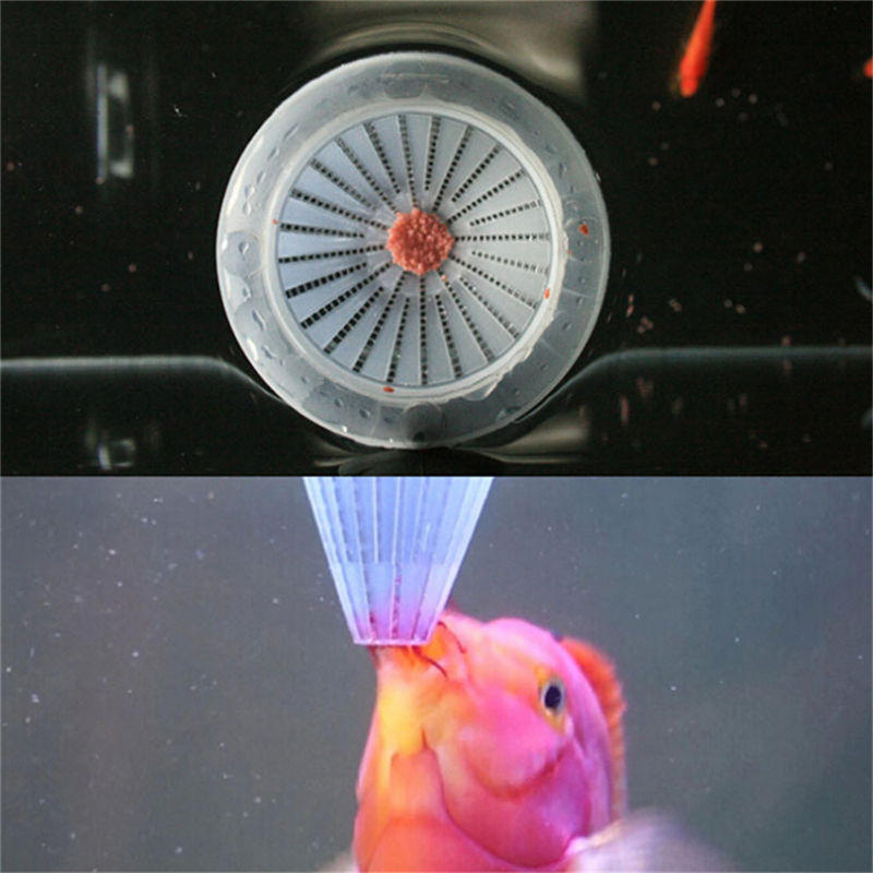 4 Stück Aquarium Roter Wurm Futterkegel Fütterung für Aquarium Skalarfisch Diskusfisch