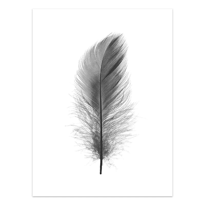 Black and White Flower Posters Print Fresh Canvas PaintingWall Art Feather Dandelion Pictures  Living Room Decoration Wall Decor