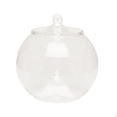Planter Jar Glass Terrarium 7.87inch Micro Landscape Vase Bottle Plant Container for