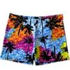 Men's Plus Size Printed Swim Trunks for Beach, Hot Spring, and Swimming