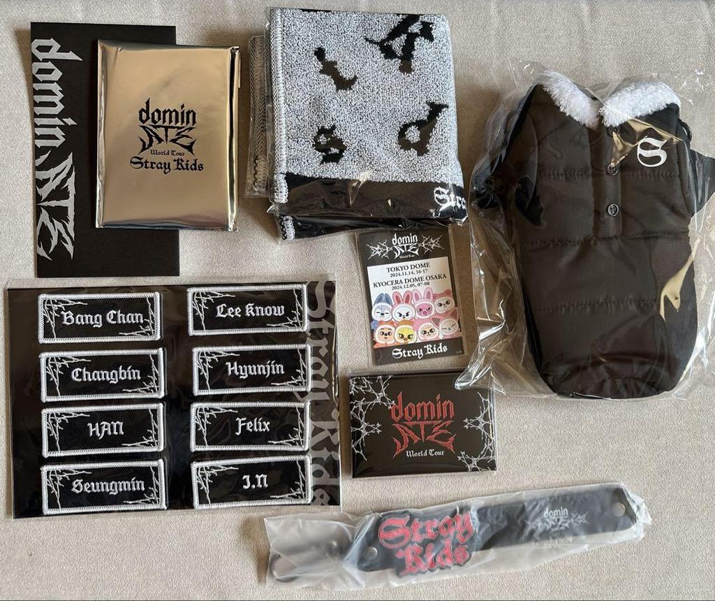 [USED] StrayKids Domin ATE Upgrade Goods
