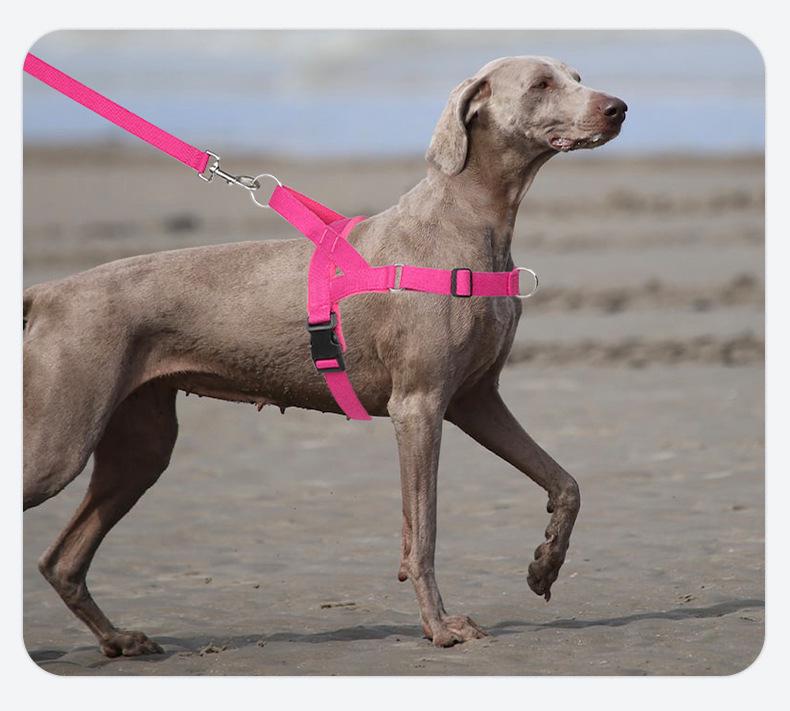 Cross-border Pet Leash: Non-choking, Anti-pulling Rope for Small To Large Dogs