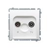 BMZAR1/1.01/11 TERMINAL RTV SOCKET