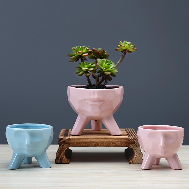 Simple And Creative Blue Succulent Flower Pot, Desktop Pink Plant Cartoon Ceramic Flower Ware